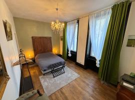 Maison à la Guitarde - Hôtel Particulier Hippolyte, penzion v destinaci Châteauroux