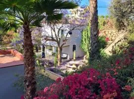 Casita 2