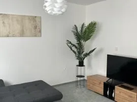 Deluxe Apartment Ella