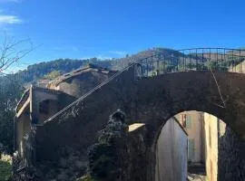 Maison cévenole typique et son jardin suspendu