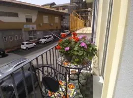 Armony House
