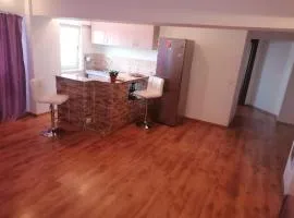 Apartament Spatios si Modern, Zona Premium