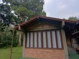 SUITE FLORESTA ILHA Da FANTASIA