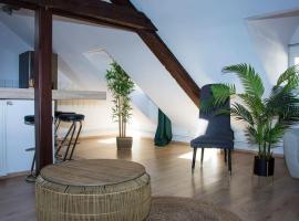 T3 plein de charme au c&oelig;ur de Montb&eacute;liard