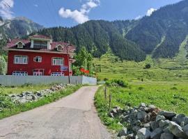 Alpine Resort: Kanzalwan şehrinde bir otel
