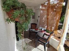 Ortopla Terrace Apartment Stinica