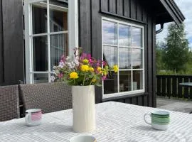 Beautiful cabin close to activities in Trysil, Trysilfjellet, with Sauna, 4 Bedrooms, 2 bathrooms and Wifi