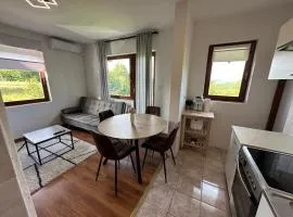 Apartman Nikola