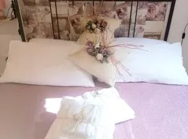 Vicolo delle scuole Pie