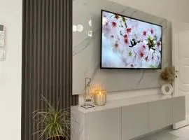 Apartman Tara Bar