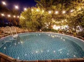 Blue Tulip - Luxury Big House with Garden & Pool