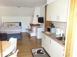 Holiday home in Dragatus - Kranjska (Krain) 50798