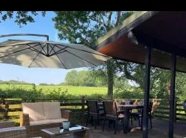 11 Tan-y-coed Woodland Lodge