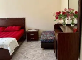Stella's House