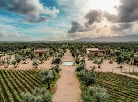 Hábimo - Valle de Guadalupe