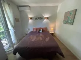 Maison 6-8 personnes proche Cannes