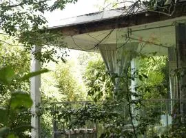 Nkofu Forest Cottage - Kitende