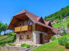 Vineyard cottage Kralj