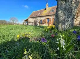Gîte reposant à la campagne
