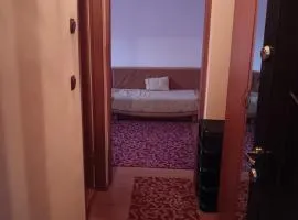 Apartament 1 camera zona liniștită