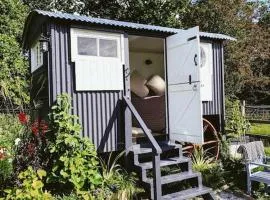 Shepherds hut with Alpaca views