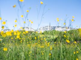 Pension Hanslmann, penzion v destinaci Steinbach am Attersee