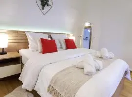 Le Scarlett Nîmois