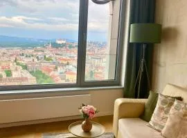 Luxury Apartment in SkyPark Residence, 26th floor - Castle view, Parking free