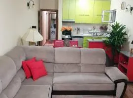 Riviera Apartment Budva