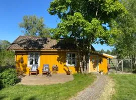 Farm stay in cozy cabin at Vestre Kinn