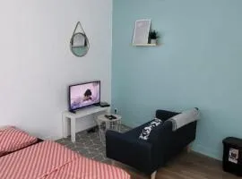 Le Nakaï , Petit Studio Sympa, plein centre-ville