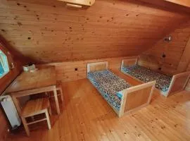 Room Janez