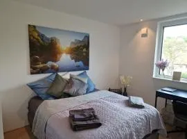 Stadtnahes Gästezimmer im Penthouse bei Esi