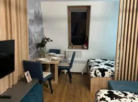 Apartmani VinVucko Jahorina u sklopu aparthotela Vucko privatni apartmani