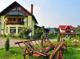 Pensiunea Cotiso, гостевой дом в городе Costeşti