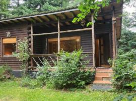 Nice house with sauna and steam bath in a forest, cheap hotel in Sellerich