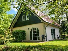 Stylish detached villa on a country estate with a pool, vacation rental in Sellerich