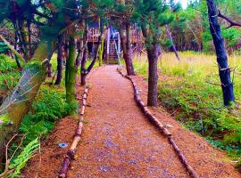 Luxury tree top glamping safari tent, hôtel à Killarney