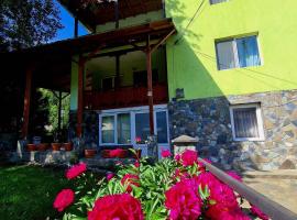 Vila Giulia Voineasa