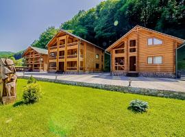 Kremenitsa, Hotel in Wyschnyzja