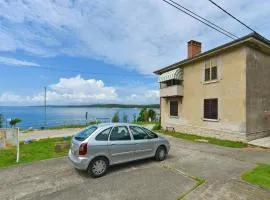 Apartment Koromacno 2334