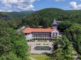 Верховина Резорт - Verkhovyna Resort Medical & Wellness, Wellnesshotel in Kamenitsa