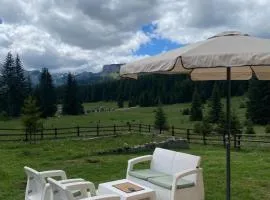 Guest House Dzajovic