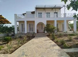 MOSXONAS House