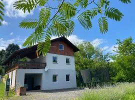 Ginkgo House