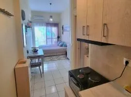 Cozy apartment near the beach