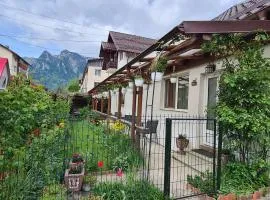 Casa Farcaș Bușteni