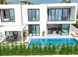 Palmera Gold Vila