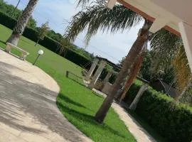Albachiara