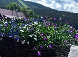 Penzion Verde Rosa